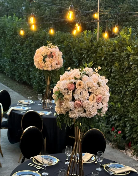 Rasveta - Iznajmljivanje dekorativne rasvete